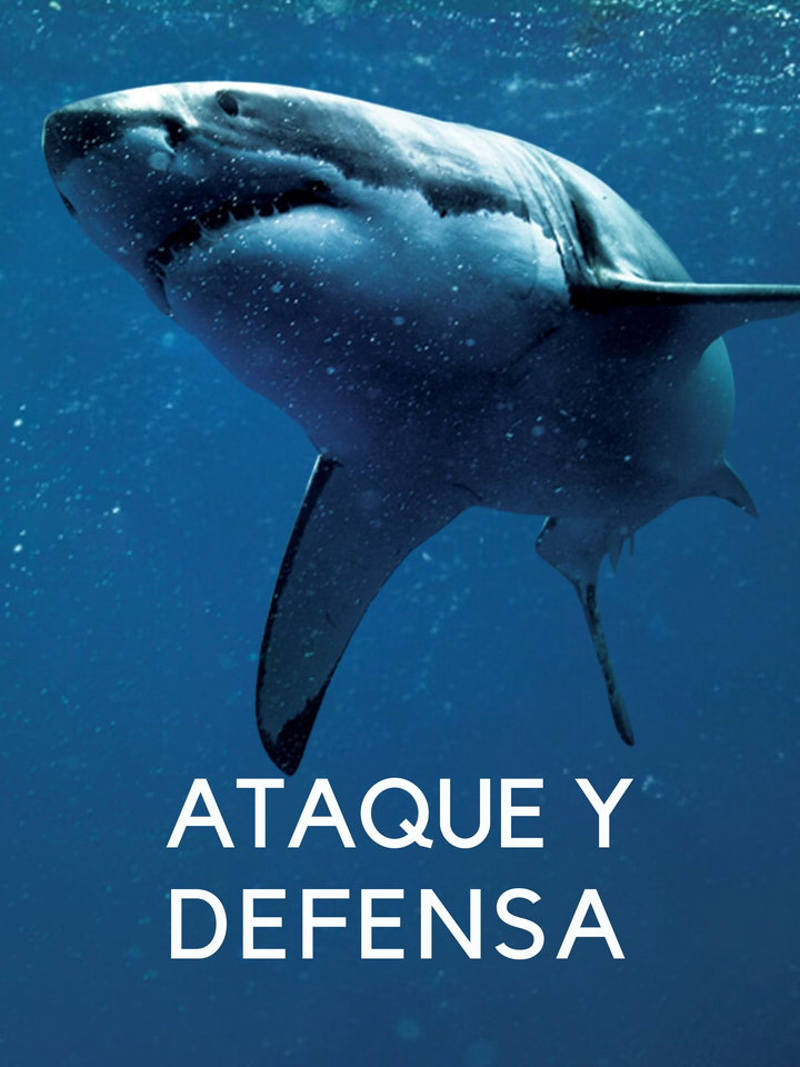 Ataque y Defensa