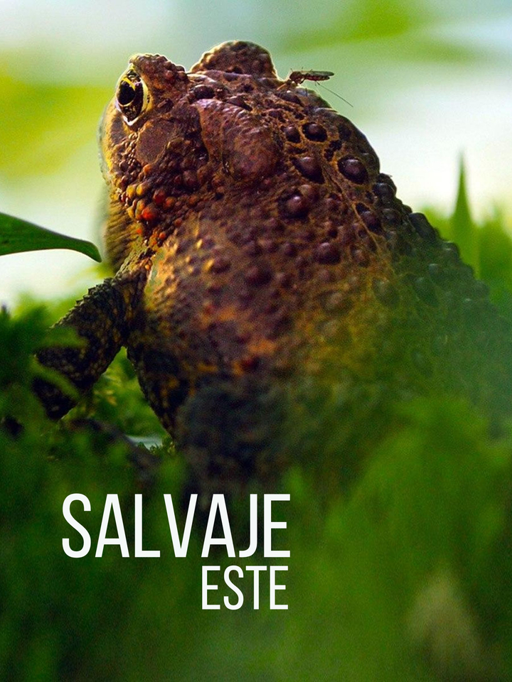 Salvaje Este