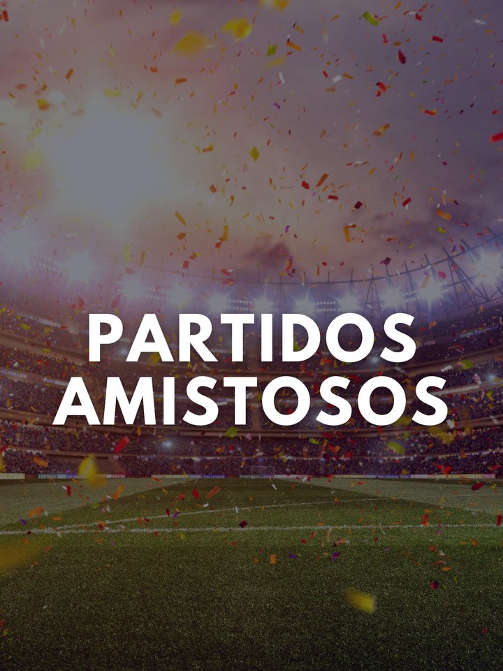 Partido amistoso