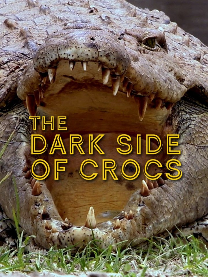 El lado oscuro de los cocodrilos