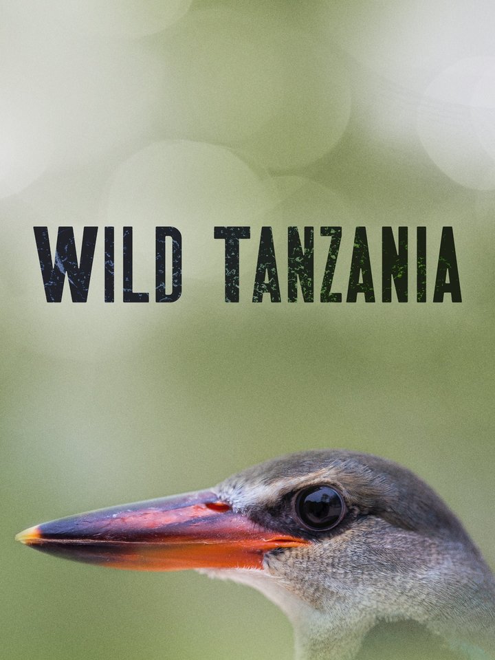 Wild Tanzania